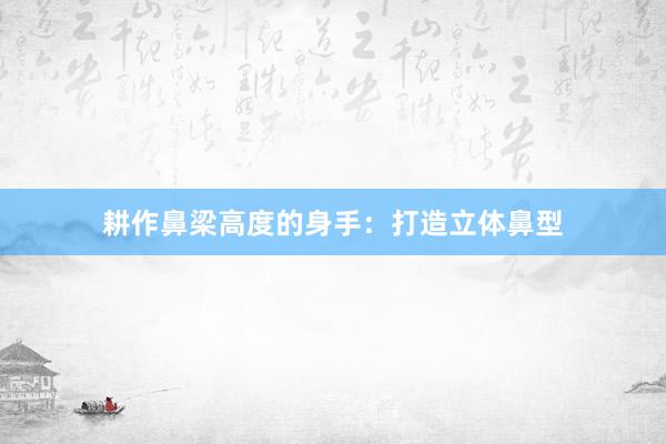耕作鼻梁高度的身手：打造立体鼻型